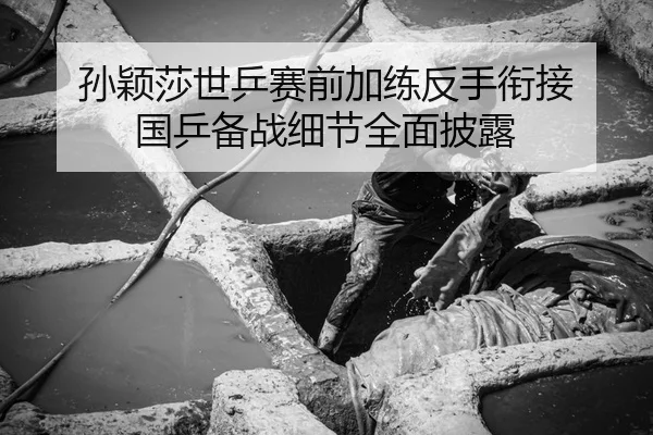 孙颖莎世乒赛前加练反手衔接 国乒备战细节全面披露